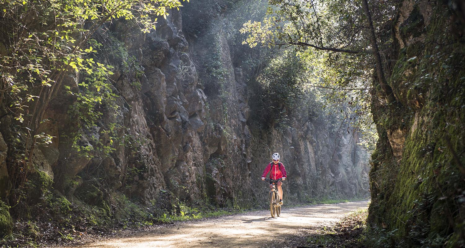 Una ciclista pedala a la via verda del Carrilet I, a prop de Sant Feliu de Pallerols.