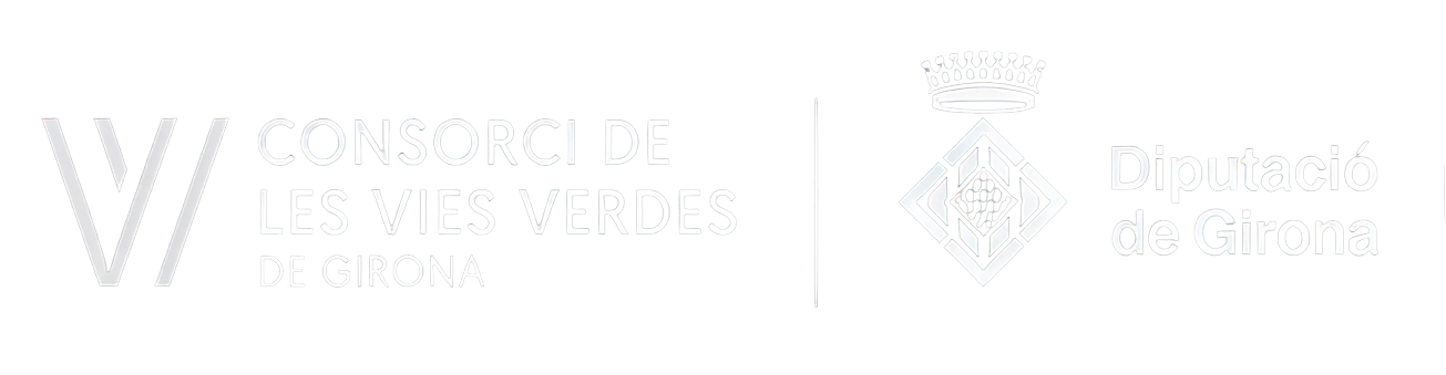 Logo Consorci