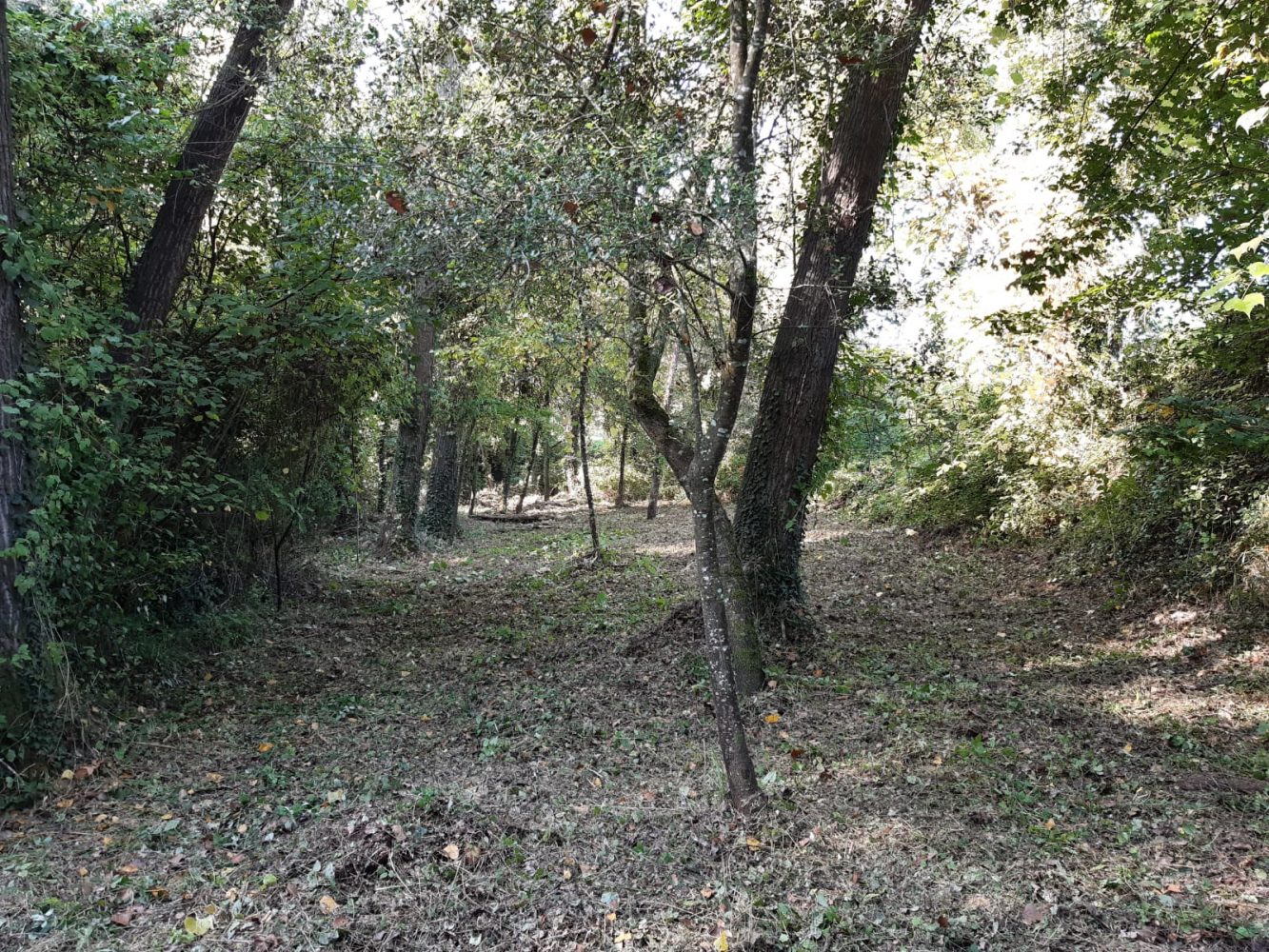 La futura via verda a Aiguaviva ja s’està executant