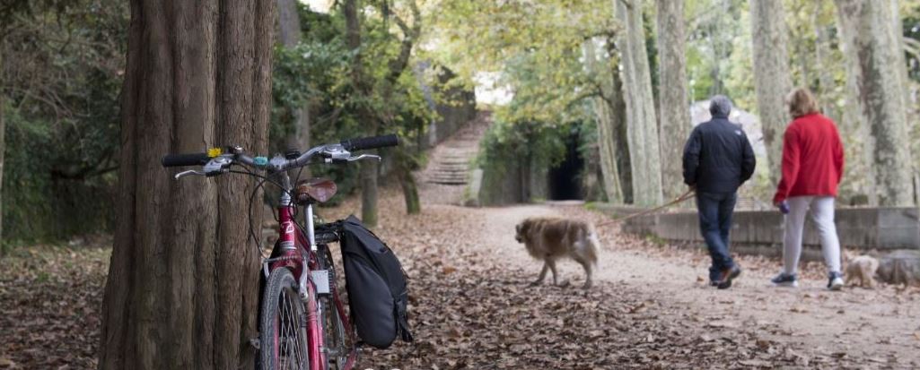 RECORDEM QUE ÉS OBLIGATORI DUR LLIGATS ELS GOSSOS A LES VIES VERDES
