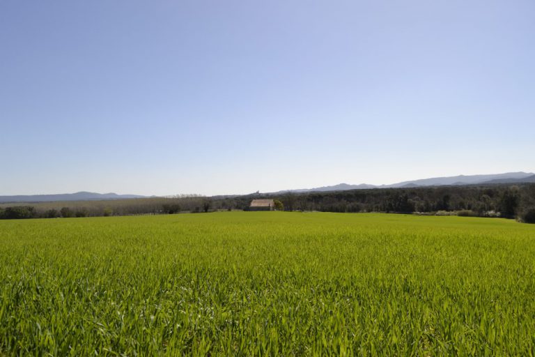 Ruta Termal amb Llagostera de fons