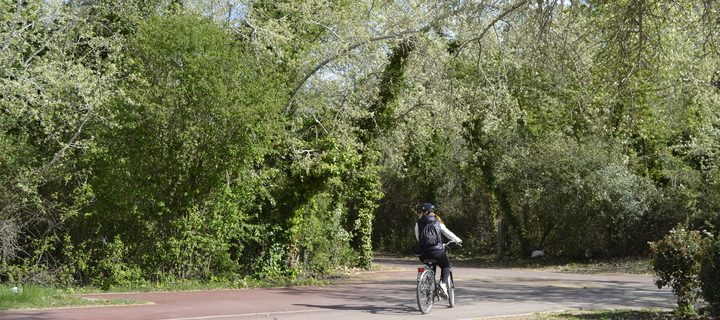 via verda ruta del tren pinxo girona banyoles serinya