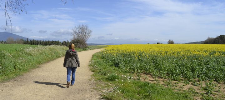 via verda ruta del tren pinxo girona banyoles serinya