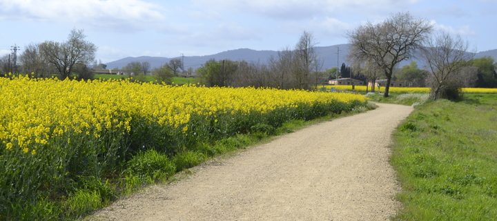 via verda ruta del tren pinxo girona banyoles serinya