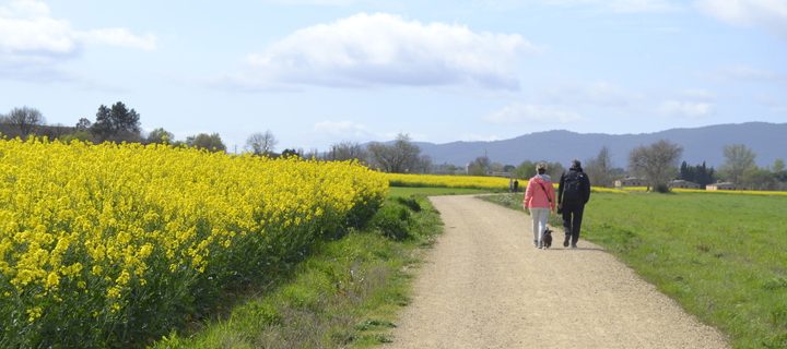 via verda ruta del tren pinxo girona banyoles serinya