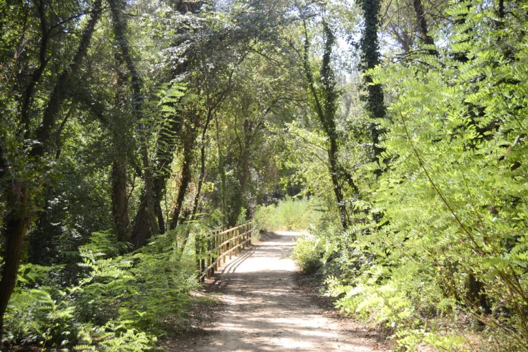 Via verda de les Masies Aiguaviva Aeroport de Girona