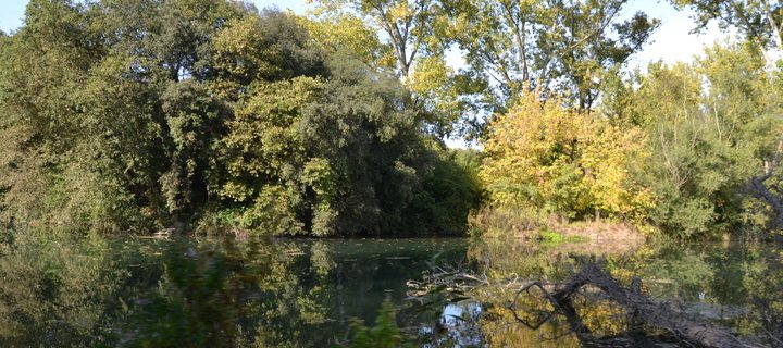 via verda ruta del tren pinxo girona banyoles serinya