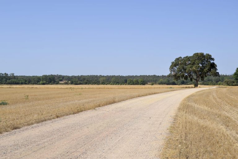 Voie verte Route du Pla Gironès Sud