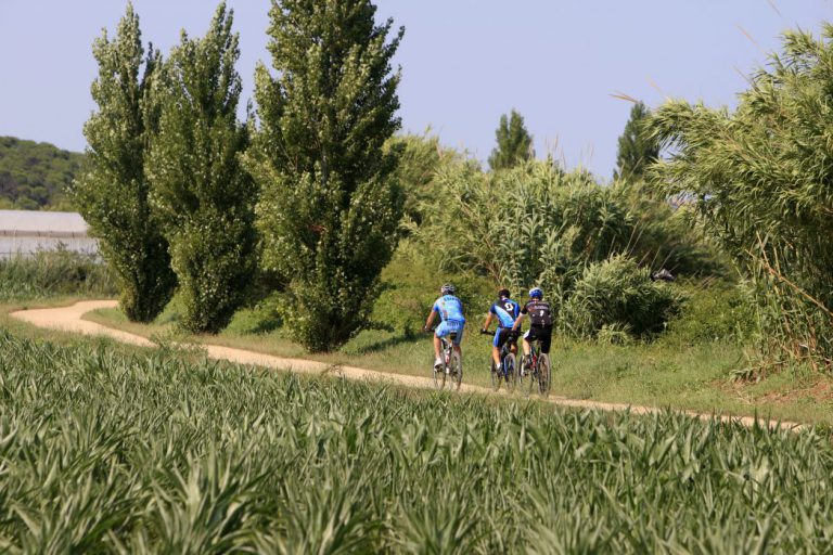 Ciclistas por la Ruta del Tren Petit