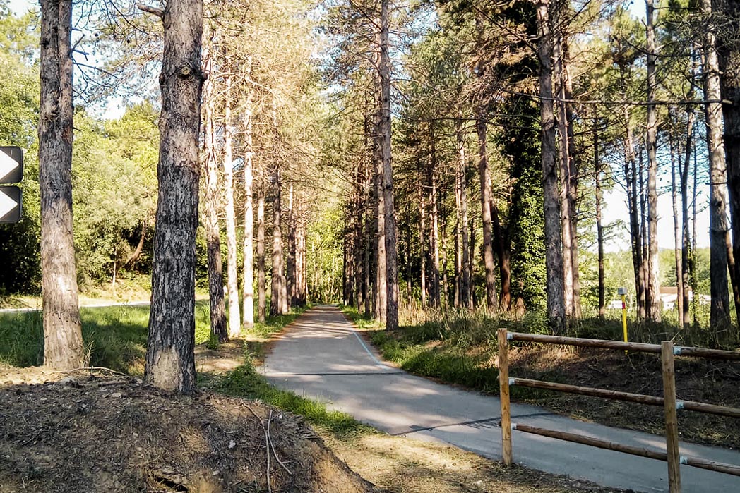 Bosc-darbres-via-verda-Breda-Viabrea