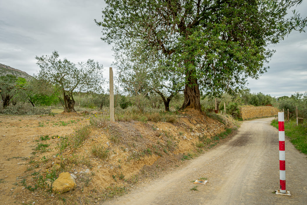 Camí Vell de l’Estartit 3