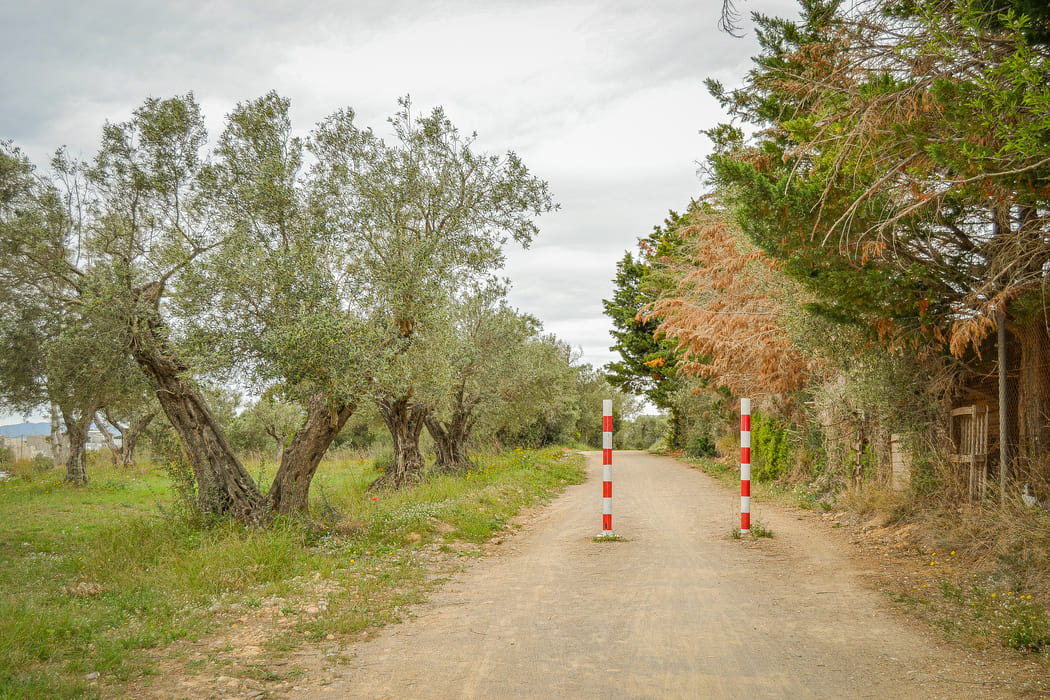 Camí Vell de l’Estartit 5
