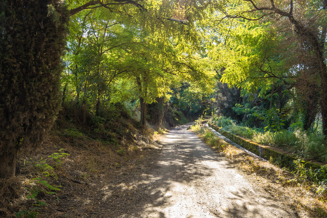 Via local Sant Julià de Ramis 4