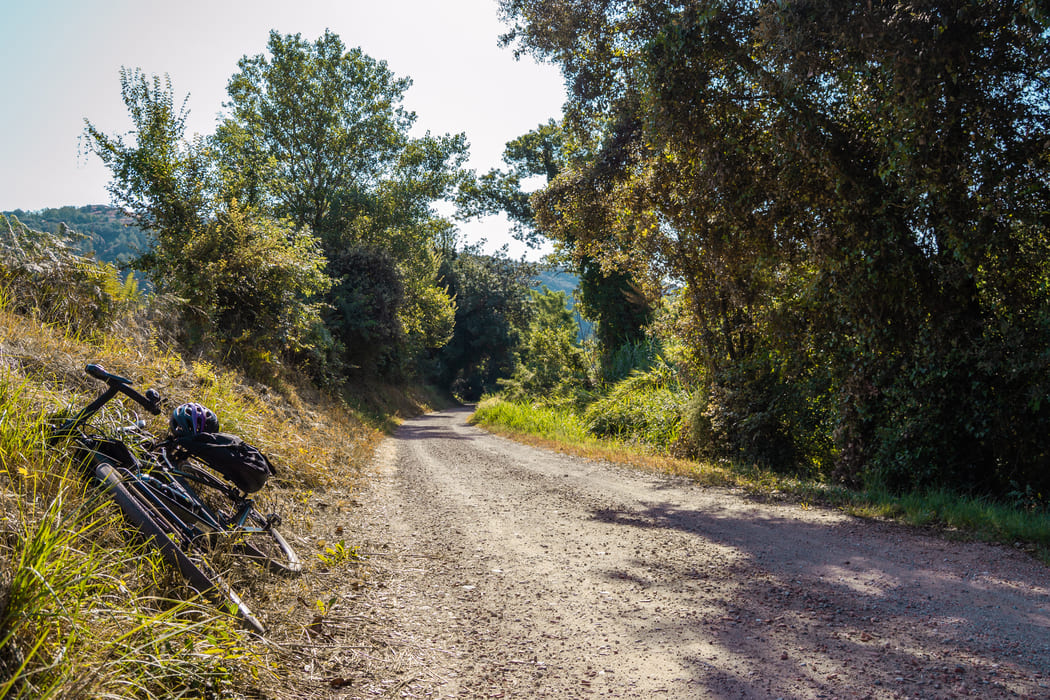 Via local Sant Julià de Ramis5